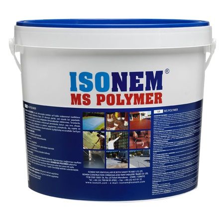 MS POLYMER