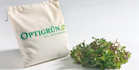 BTM Optigreen Sulu Tohumlama (Alternatif:Kuru Tohumlama)